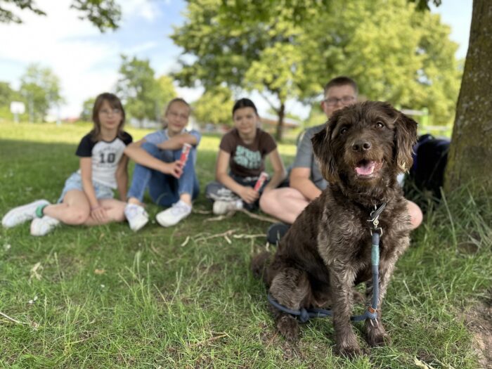 Schulhund_2
